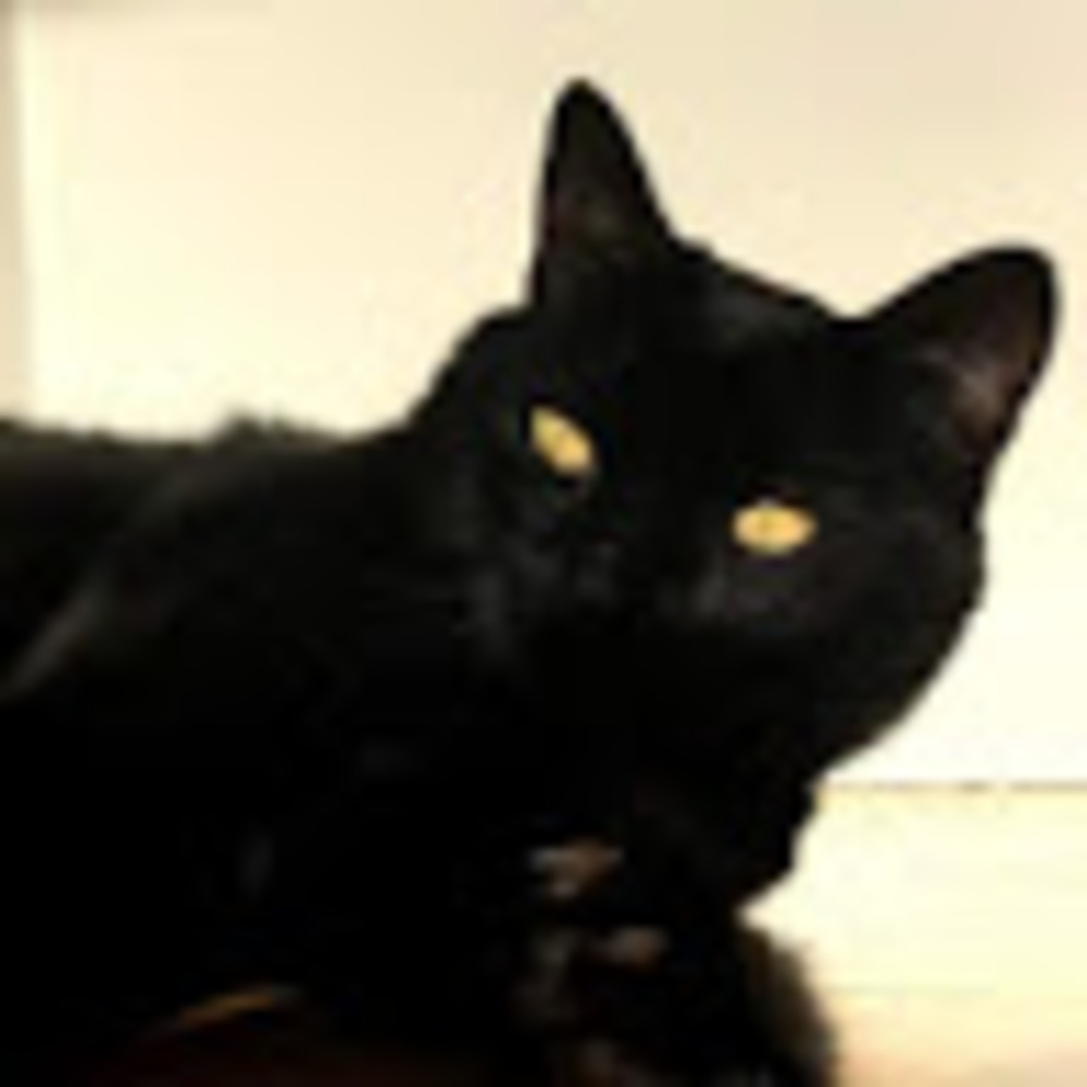 Meet your Posher, Lila